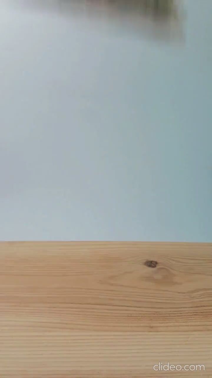 Charger la vidéo : 